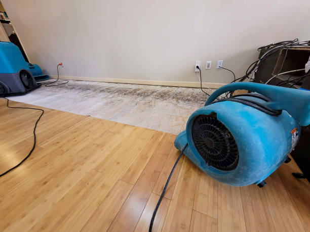 Professional Flood Damage Cleanup technician working in Wrightsboro, TX